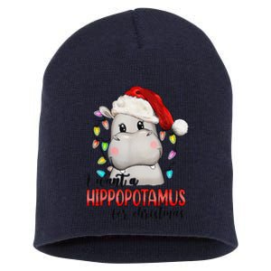 I Want A Hippopotamus For Christmas Xmas Short Acrylic Beanie