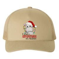 I Want A Hippopotamus For Christmas Xmas Yupoong Adult 5-Panel Trucker Hat