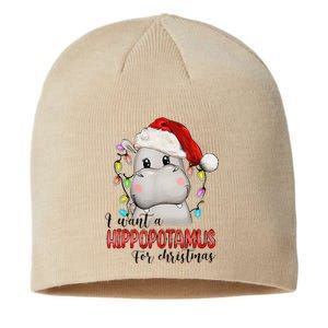 I Want A Hippopotamus For Christmas Xmas Sustainable Beanie