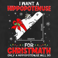 I Want A Hippopotenuse For Christmath Math Teacher Christmas Adult Drive Performance Visor