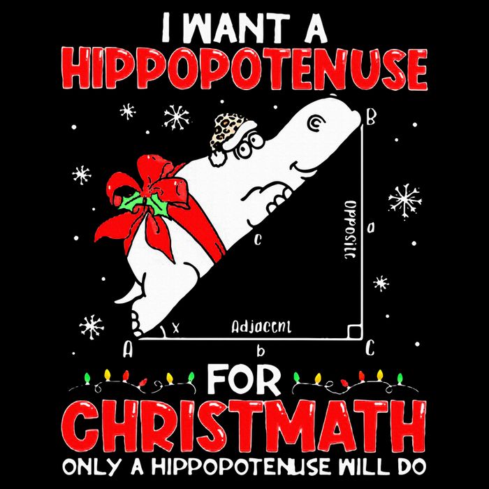 I Want A Hippopotenuse For Christmath Math Teacher Christmas 16 in Basic Backpack