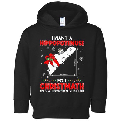 I Want A Hippopotenuse For Christmath Math Teacher Christmas Toddler Hoodie