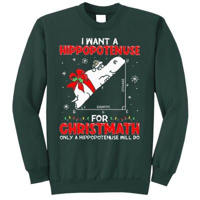 I Want A Hippopotenuse For Christmath Math Teacher Christmas Sweatshirt