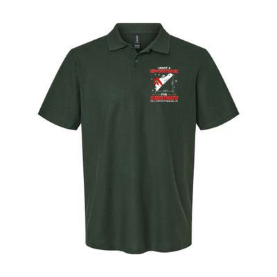 I Want A Hippopotenuse For Christmath Math Teacher Christmas Polo