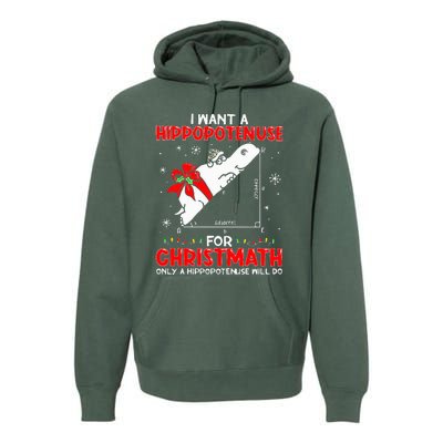 I Want A Hippopotenuse For Christmath Math Teacher Christmas Premium Hoodie