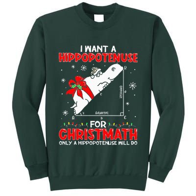 I Want A Hippopotenuse For Christmath Math Teacher Christmas Tall Sweatshirt