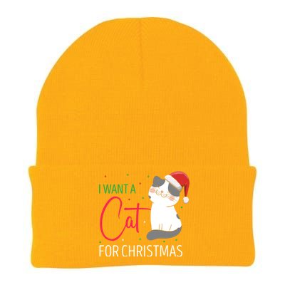 I Want A Cat For Christmas Cute Kitten Cat Lover Present Gift Knit Cap Winter Beanie