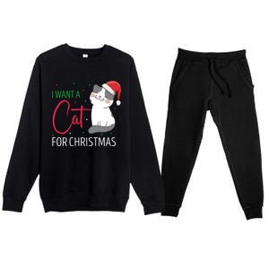 I Want A Cat For Christmas Cute Kitten Cat Lover Present Gift Premium Crewneck Sweatsuit Set