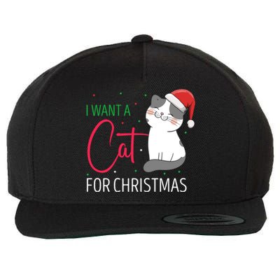 I Want A Cat For Christmas Cute Kitten Cat Lover Present Gift Wool Snapback Cap