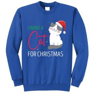 I Want A Cat For Christmas Cute Kitten Cat Lover Present Gift Sweatshirt