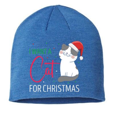 I Want A Cat For Christmas Cute Kitten Cat Lover Present Gift Sustainable Beanie