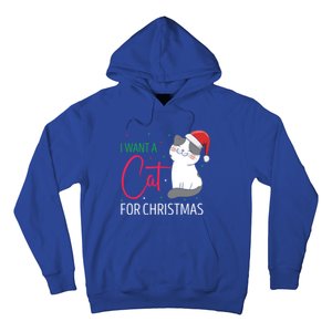 I Want A Cat For Christmas Cute Kitten Cat Lover Present Gift Hoodie