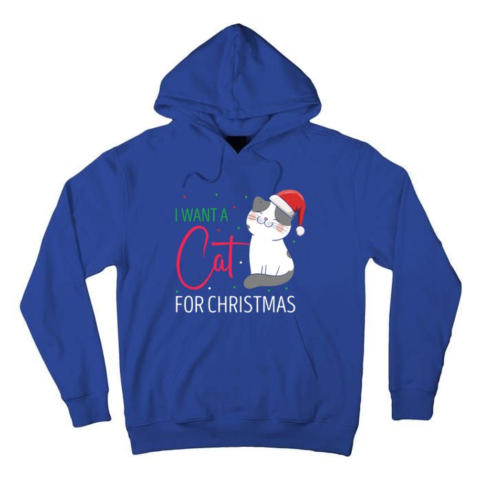 I Want A Cat For Christmas Cute Kitten Cat Lover Present Gift Tall Hoodie