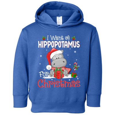 I Want A Hippopotamus For Christmas Xmas Hippo For Funny Gift Toddler Hoodie