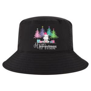 I Want A Hippopotamus For Christmas Xmas Hippo For Women Cool Comfort Performance Bucket Hat