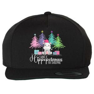 I Want A Hippopotamus For Christmas Xmas Hippo For Women Wool Snapback Cap