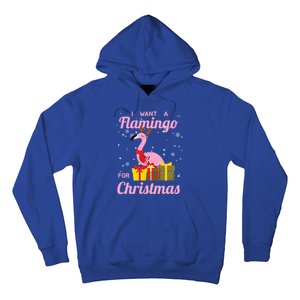 I Want A Flamingo For Christmas Funny Cute Holiday Cute Gift Hoodie