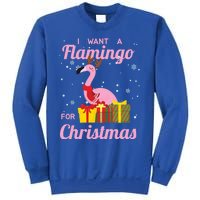 I Want A Flamingo For Christmas Funny Cute Holiday Cute Gift Sweatshirt