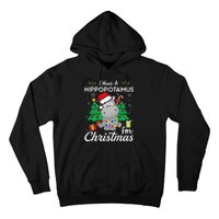 I Want A Hippopotamus For Christmas Xmas Costume Hoodie