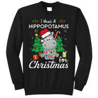 I Want A Hippopotamus For Christmas Xmas Costume Sweatshirt