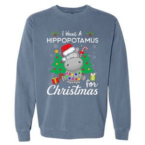 I Want A Hippopotamus For Christmas Xmas Costume Garment-Dyed Sweatshirt