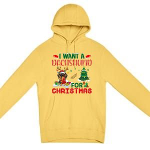 I Want A Dachshund Dog For Christmas Xmas Dachshund Reindeer Gift Premium Pullover Hoodie