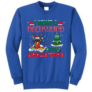 I Want A Dachshund Dog For Christmas Xmas Dachshund Reindeer Gift Sweatshirt