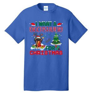 I Want A Dachshund Dog For Christmas Xmas Dachshund Reindeer Gift Tall T-Shirt