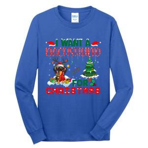 I Want A Dachshund Dog For Christmas Xmas Dachshund Reindeer Gift Tall Long Sleeve T-Shirt