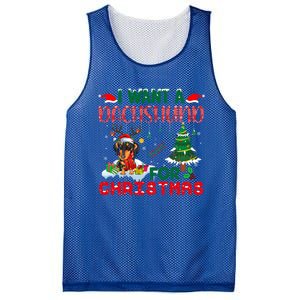 I Want A Dachshund Dog For Christmas Xmas Dachshund Reindeer Gift Mesh Reversible Basketball Jersey Tank