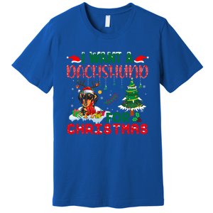 I Want A Dachshund Dog For Christmas Xmas Dachshund Reindeer Gift Premium T-Shirt