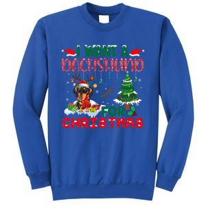 I Want A Dachshund Dog For Christmas Xmas Dachshund Reindeer Gift Tall Sweatshirt