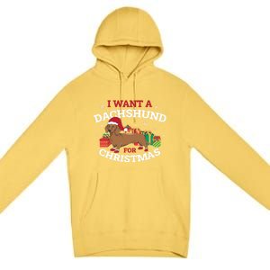 I Want A Dachshund For Christmas Great Gift Premium Pullover Hoodie