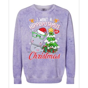 I Want A Hippopotamus For Christmas Xmas Hippo For Gift Colorblast Crewneck Sweatshirt