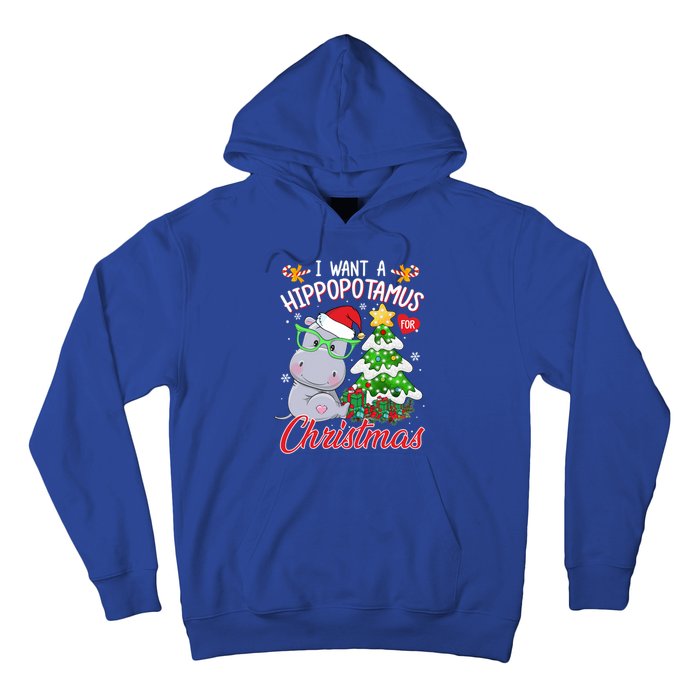 I Want A Hippopotamus For Christmas Xmas Hippo For Gift Hoodie