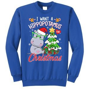 I Want A Hippopotamus For Christmas Xmas Hippo For Gift Sweatshirt