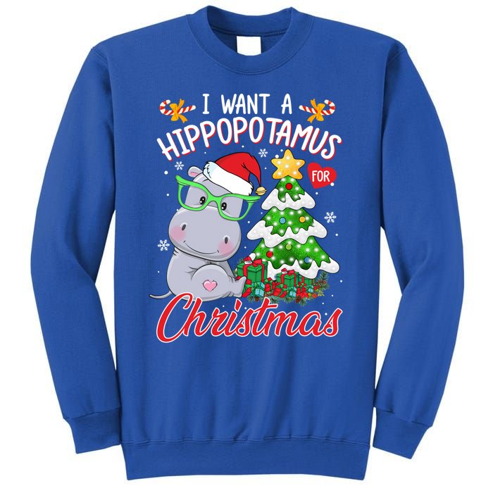 I Want A Hippopotamus For Christmas Xmas Hippo For Gift Sweatshirt