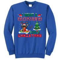 I Want A Dachshund Dog For Christmas Xmas Dachshund Reindeer Gift Tall Sweatshirt