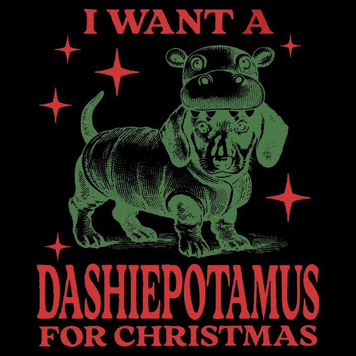 I Want A Dashiepotamus For Christmas Dachshund Hippopotamus 16 in Basic Backpack