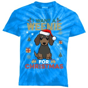 I Want A Weenie For Christmas Dachshund Dog Lovers Pajama Gift Kids Tie-Dye T-Shirt