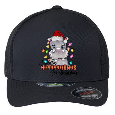 I Want A Hippopotamus For Christmas Funny Hippo Meaningful Gift Flexfit Unipanel Trucker Cap