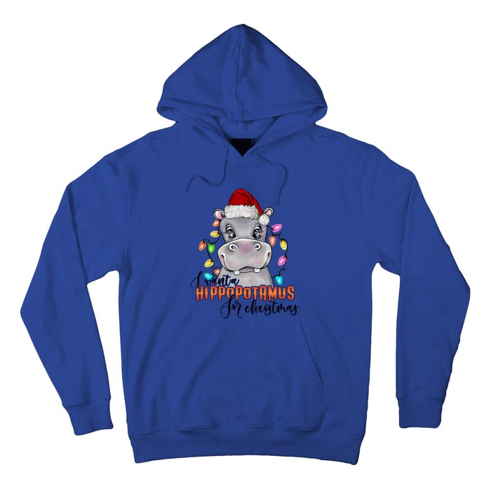 I Want A Hippopotamus For Christmas Funny Hippo Meaningful Gift Hoodie