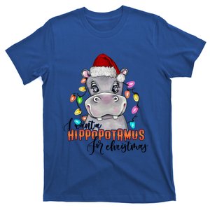 I Want A Hippopotamus For Christmas Funny Hippo Meaningful Gift T-Shirt