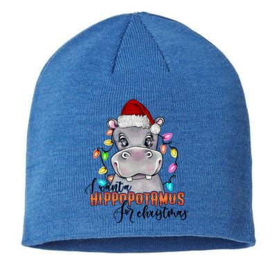 I Want A Hippopotamus For Christmas Funny Hippo Meaningful Gift Sustainable Beanie