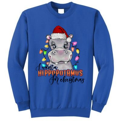 I Want A Hippopotamus For Christmas Funny Hippo Meaningful Gift Tall Sweatshirt