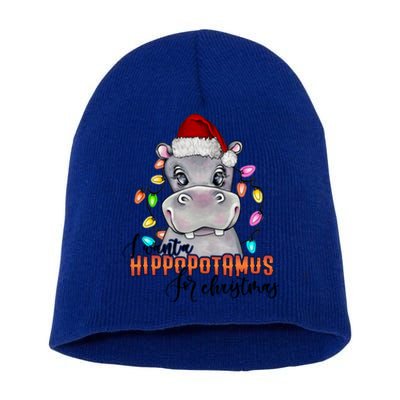 I Want A Hippopotamus For Christmas Funny Hippo Meaningful Gift Short Acrylic Beanie