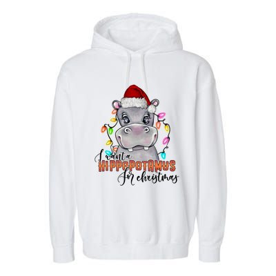 I Want A Hippopotamus For Christmas Funny Hippo Meaningful Gift Garment-Dyed Fleece Hoodie