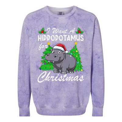 I Want A Hippopotamus For Christmas Xmas Hippo Lover Funny Colorblast Crewneck Sweatshirt