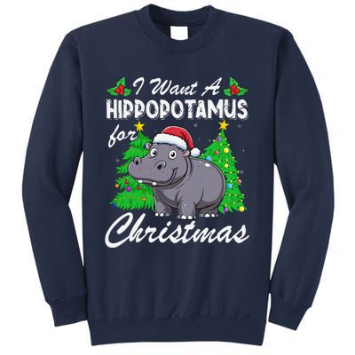 I Want A Hippopotamus For Christmas Xmas Hippo Lover Funny Sweatshirt