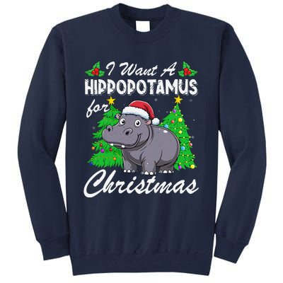 I Want A Hippopotamus For Christmas Xmas Hippo Lover Funny Tall Sweatshirt